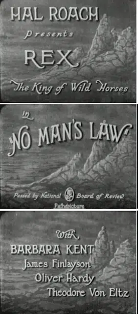 Rex the Wonder Horse